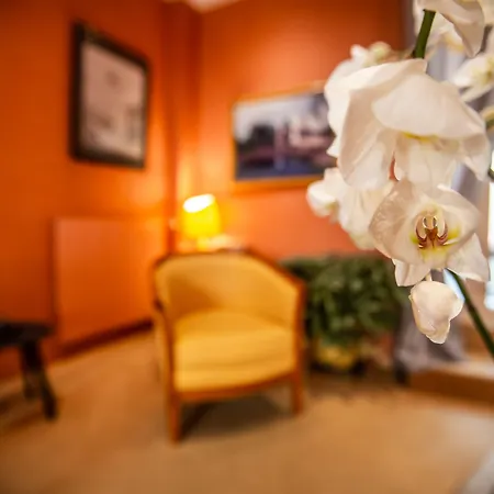 كونتيننتال 3* أنجير