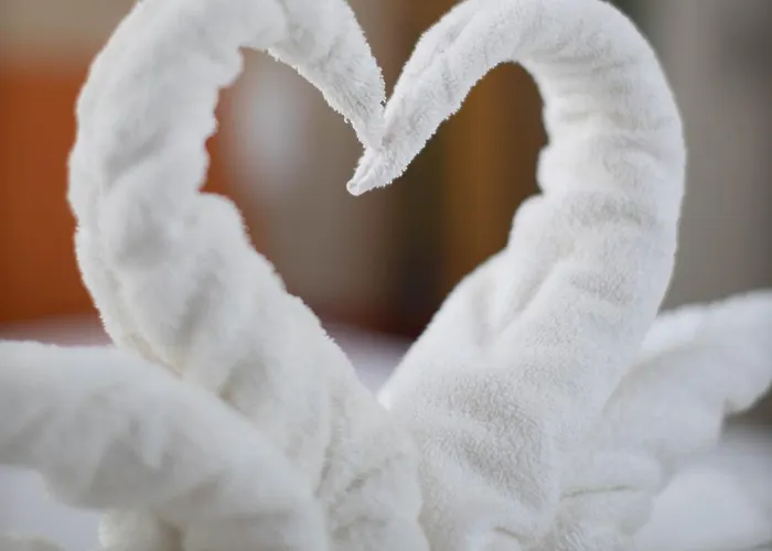 كونتيننتال 3*